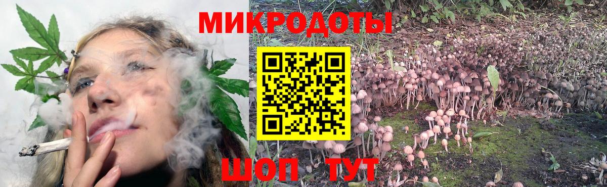 Миасс  Псилоцибиновые грибы прущие грибы  Вход с VPN 