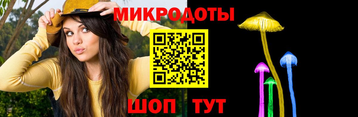 Галлюциногенные грибы Psilocybe Миасс